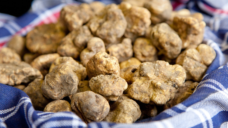 A basket of white truffles