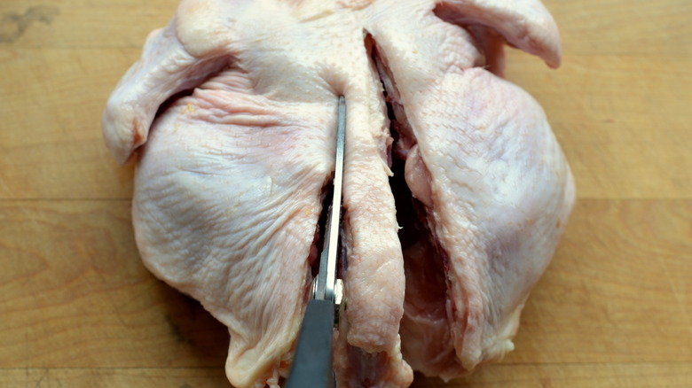 Spatchcocking a raw chicken