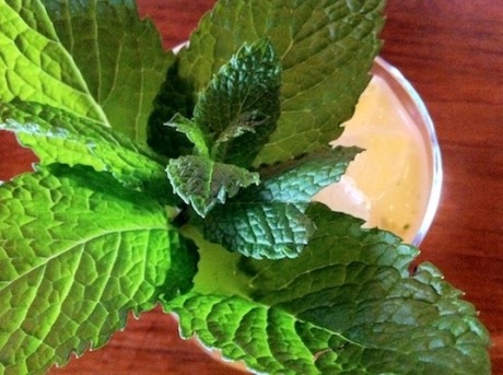 Ground to Glass: Cantaloupe Cocktails