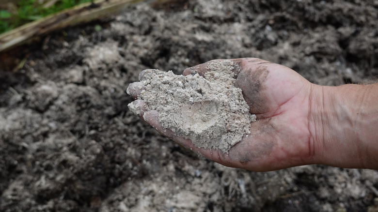 A hand holds ash over a garden
