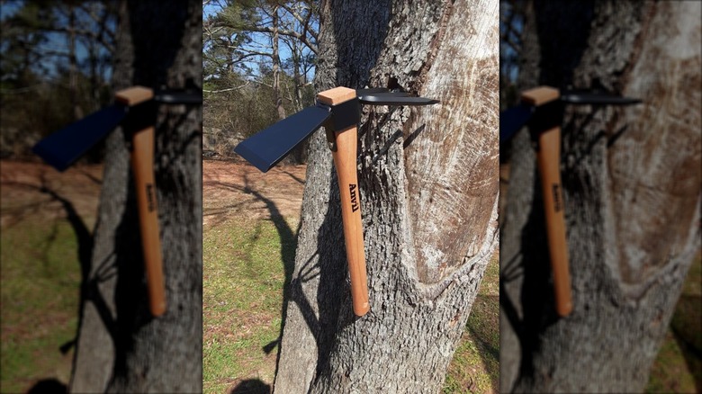 Anvil digging hoe and hand cultivator combo hanging on a tree trunk
