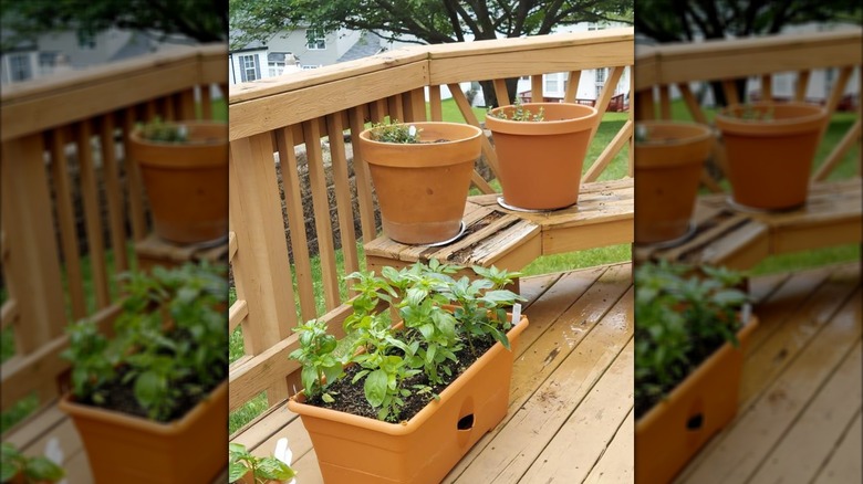 Two terra cotta Bloem plastic planters on a deck bench