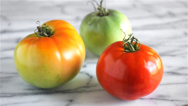 three different-colored tomatoes