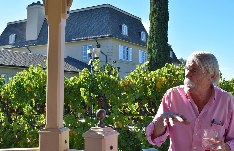 Rose and Tomato Garden