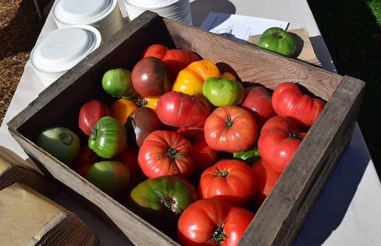 Life Is Like a Box of Tomatoes