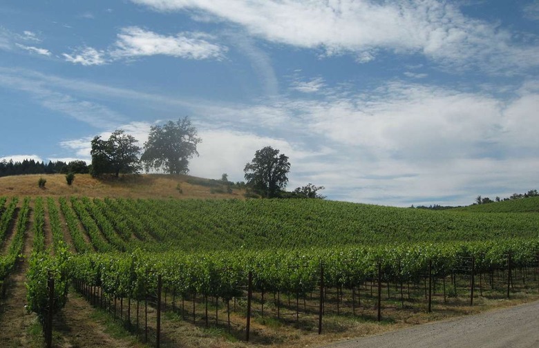 sonoma