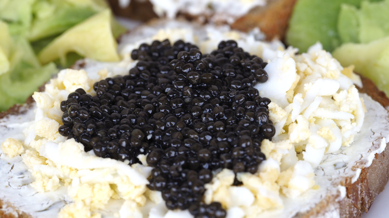 Caviar on egg salad sandwich