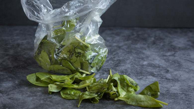 spoiled spinach in trash bag