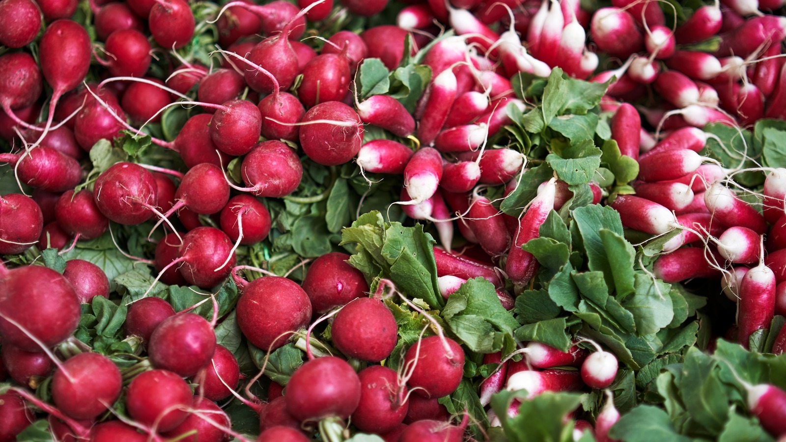 Here's What Happens If You Eat Radishes Every Day