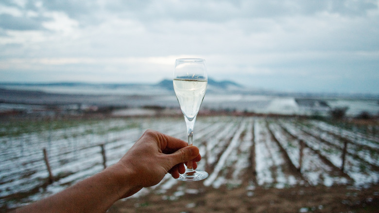 Person holding glass of ice wine over vineyard