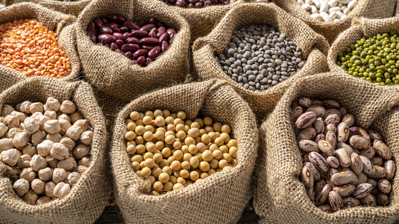 Assorted dried beans in burlap sacks