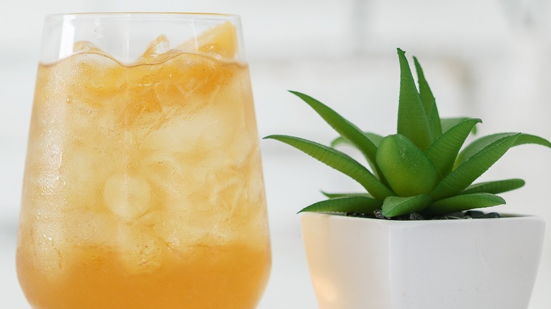 Close-up of a glass of apple juice over ice next to an aloe plant
