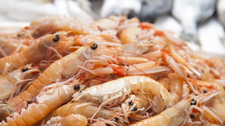 Pile of raw scampi