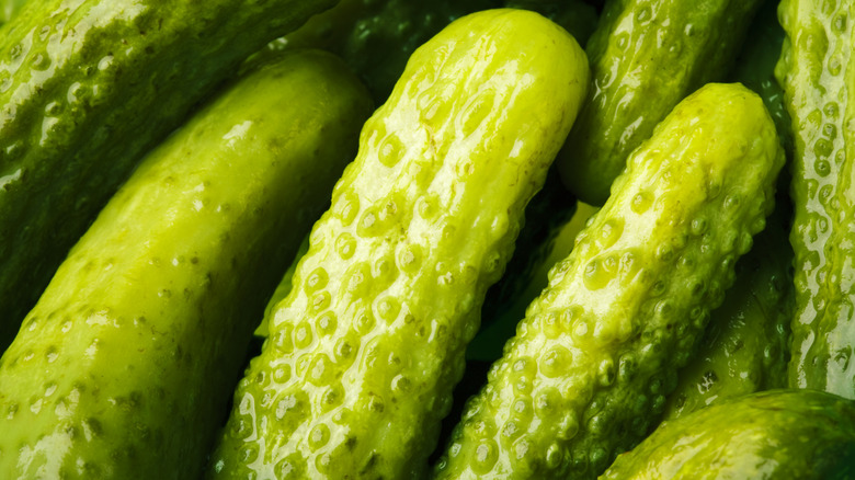 close up of pickles