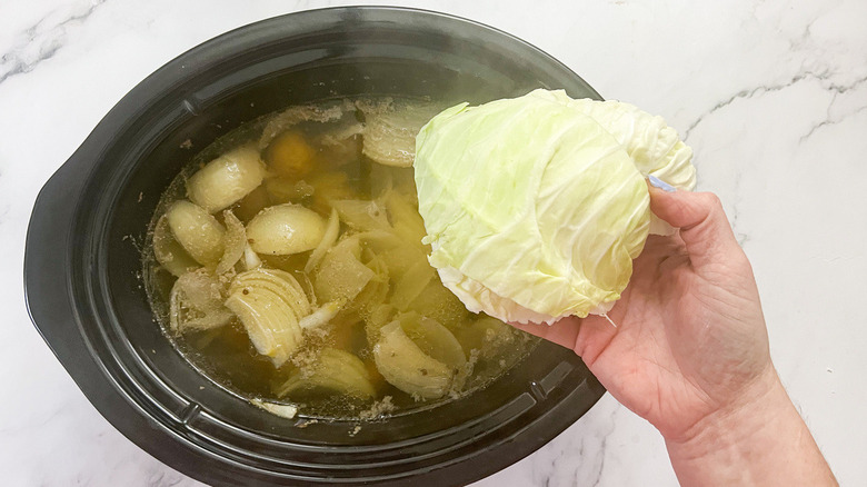 hand holding green cabbage