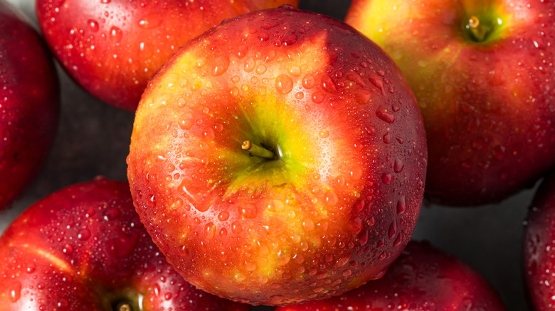 Close-up of a fresh Cosmic Crisp apple