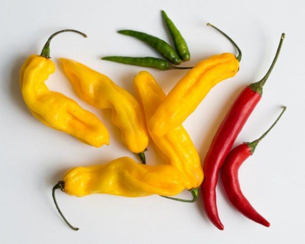 Hot Mess: 6,000 Lbs of Chile Peppers Recalled for Salmonella