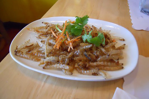 Sticky Rice Thai, Chicago
