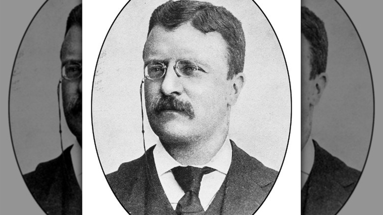 portrait of Franklin D Roosevelt