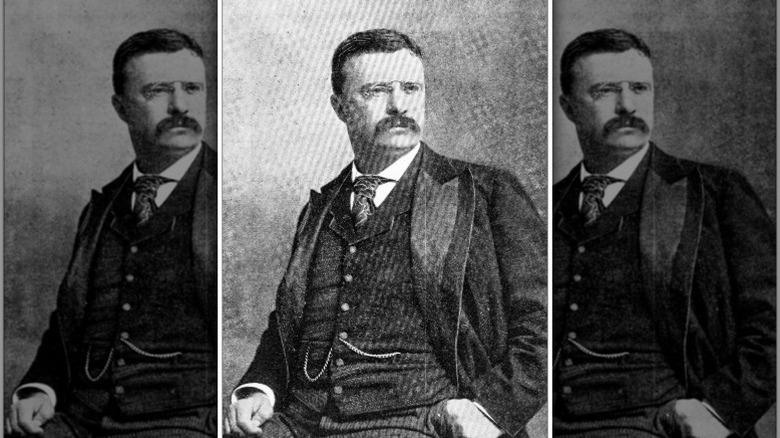 president theodore roosevelt