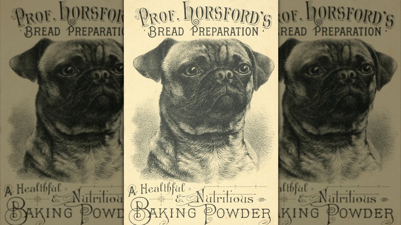 Professor Horsford baking powder ad