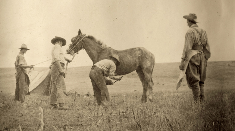 Cowboys working with a horse out on the range
