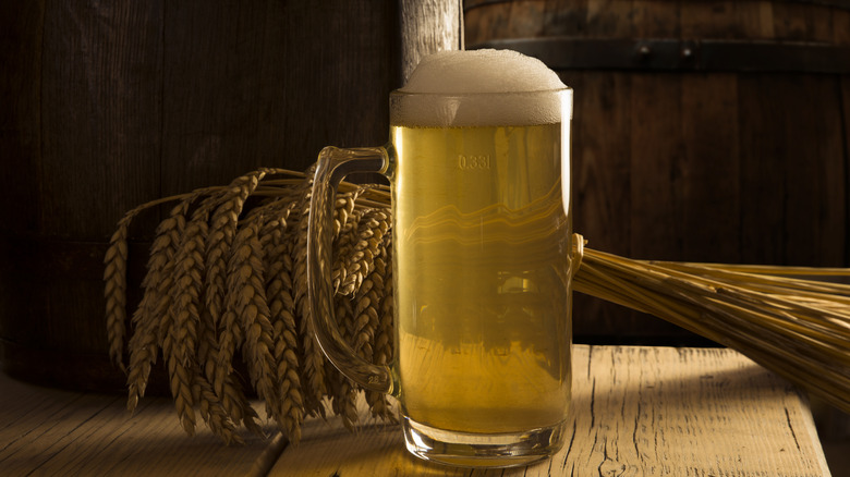 Glass of beer with a sheath of wheat and beer barrels in the background