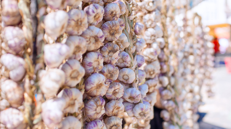 Garlic braids hanging