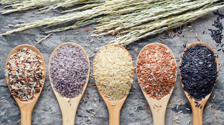 Wooden spoons full of different rice varieties