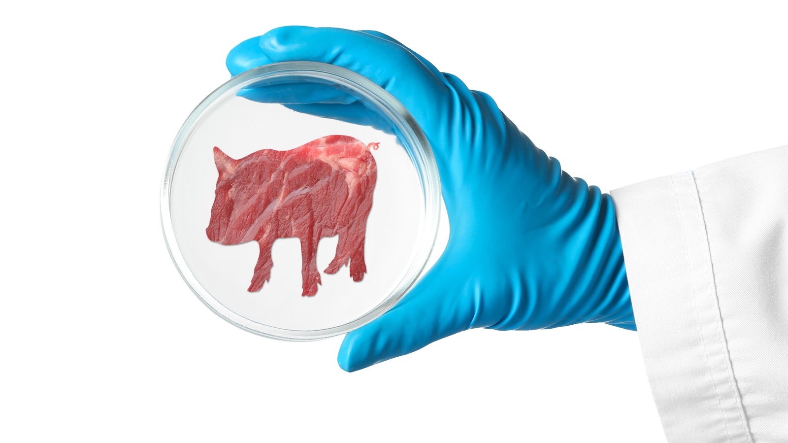 How LabGrown Animal Fat Could Make PlantBased Meat Better