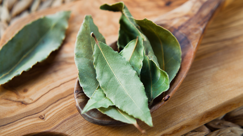 Dried bay leaves on wooden spoon