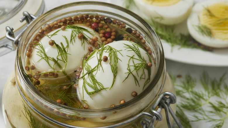 Pickled eggs with coriander and dill