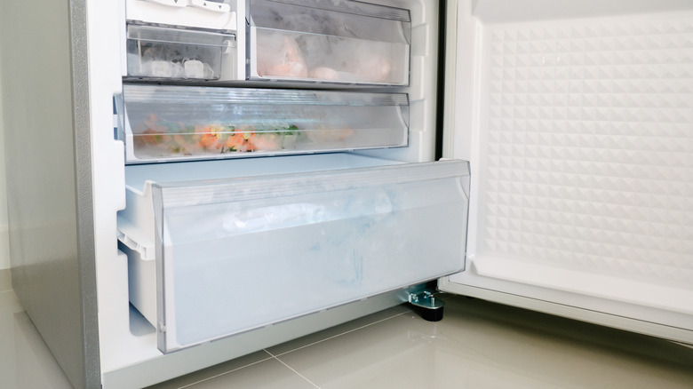 bottom freezer in refrigerator