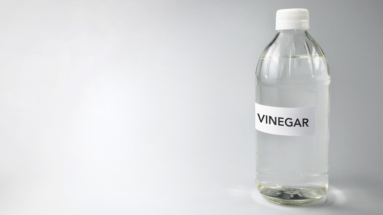 Clear bottle of white vinegar against grey background