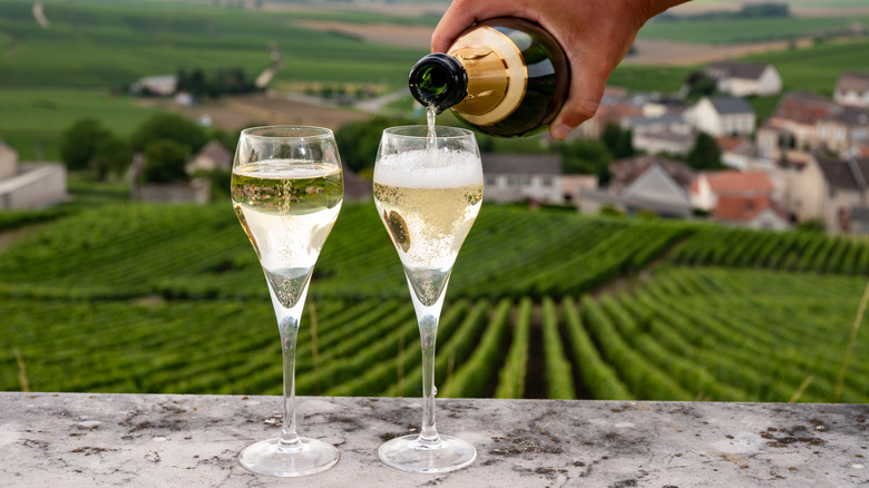 Pouring Champagne into tulip glasses with vineyard in the background