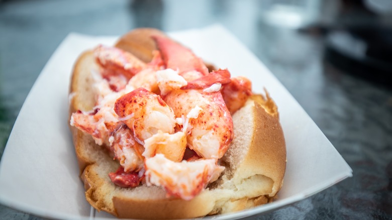 plain lobster roll served on white plate
