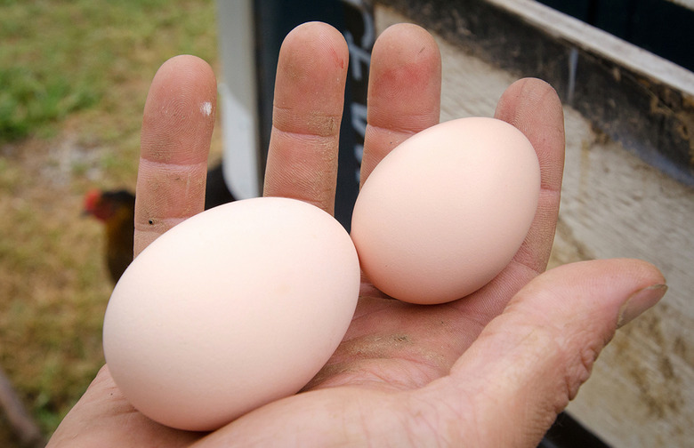 How Much a Dozen Eggs Cost the Year You Were Born