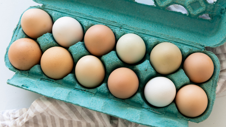 teal carton of a dozen eggs