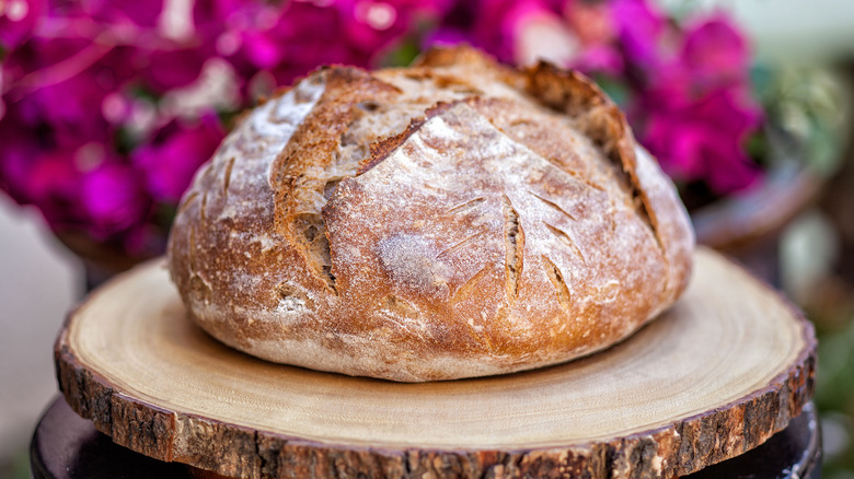 Loaf of sourdough bread sits on a piece of wood