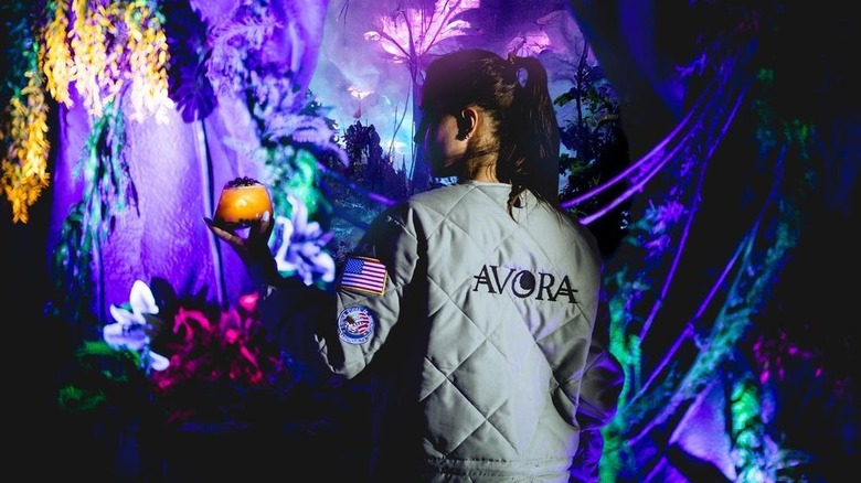 Avora Cocktail Experience London