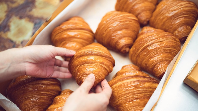 bakery tray of croissants