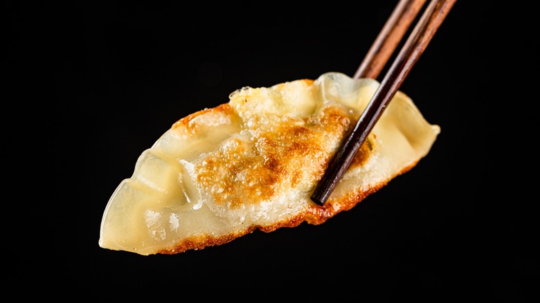 dumpling held in chopsticks
