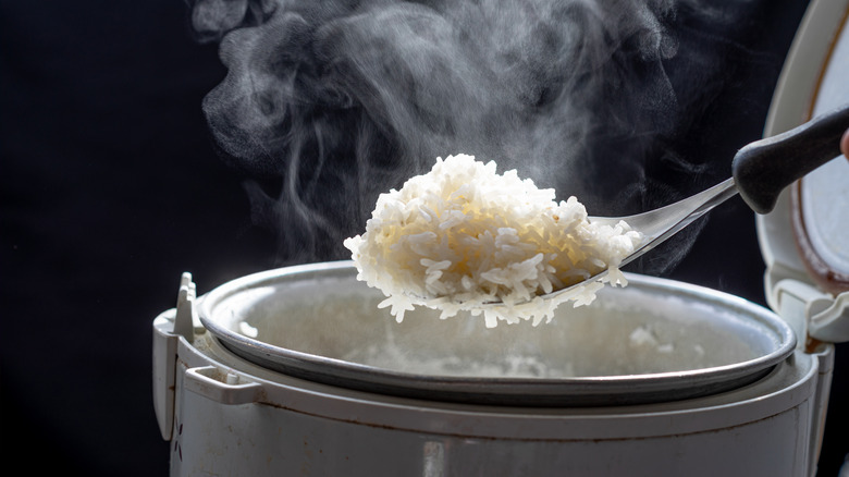 Spoonful of steaming hot rice
