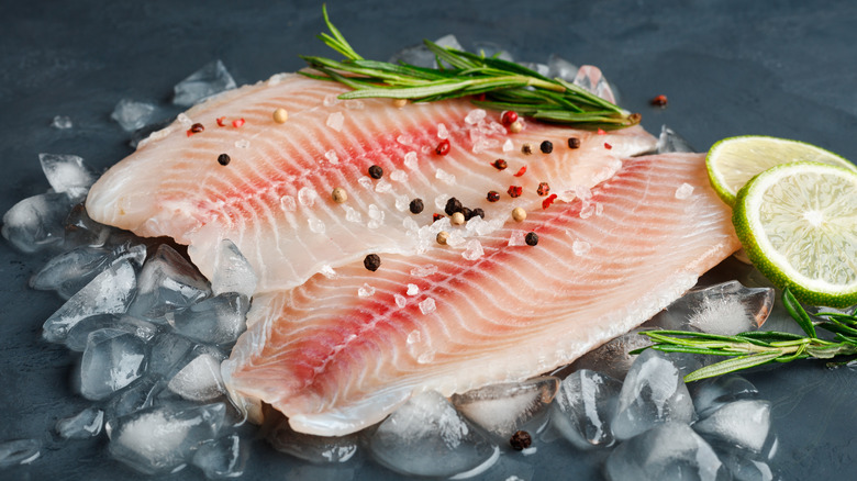 Seasoned fish filets on ice