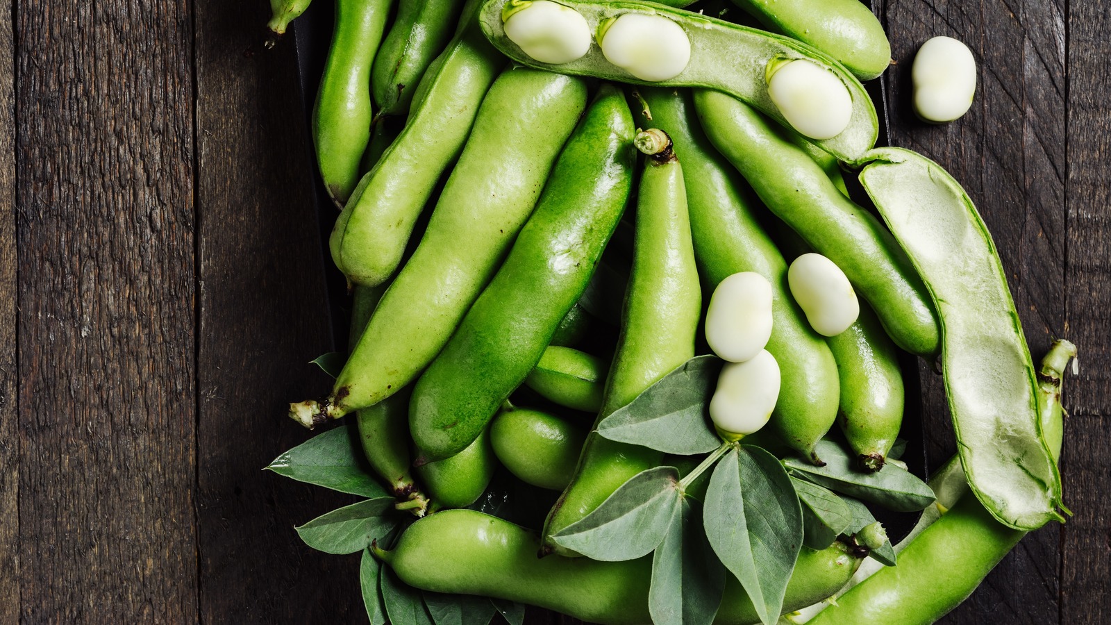 How To Shop For And Store Fava Beans