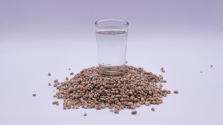 A glass of vodka sits on a pile of wheat