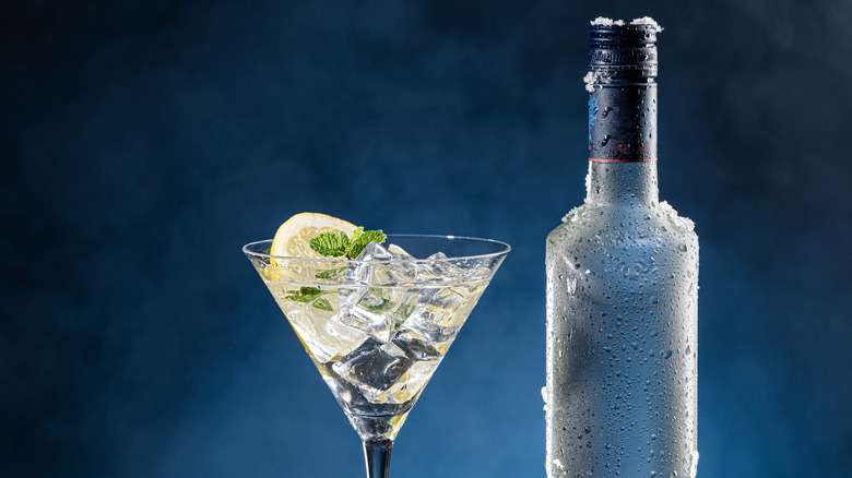 A frosty bottle of vodka sits next to a clear cocktail in a martini glass