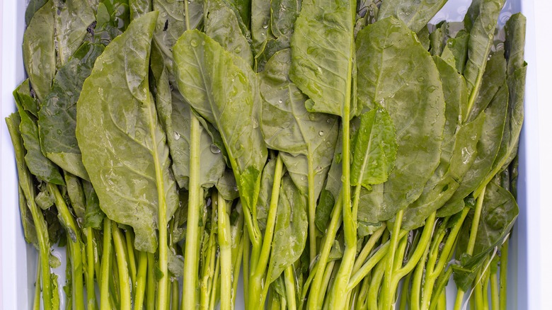 soaking collard greens