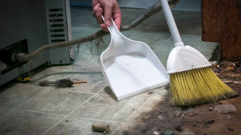 Person sweeping behind appliance