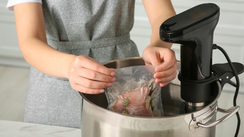 immersion circulator sous vide